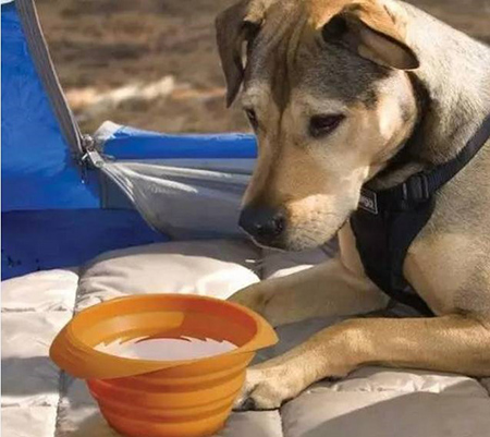 東莞<a href='http://www.jinxiule.com/' class='keys' title='點擊查看關于帝博硅膠制品廠的相關信息' target='_blank'>帝博硅膠制品廠</a>