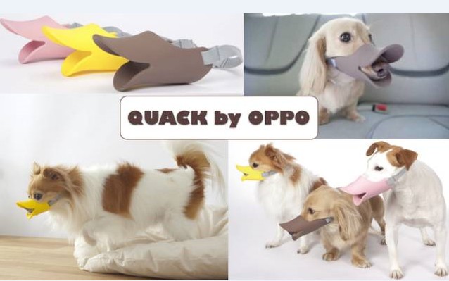 珠三角硅膠制品生產基地