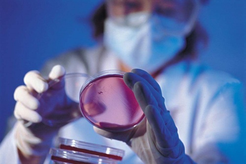 412.fw.jpg 412.fw.jpg