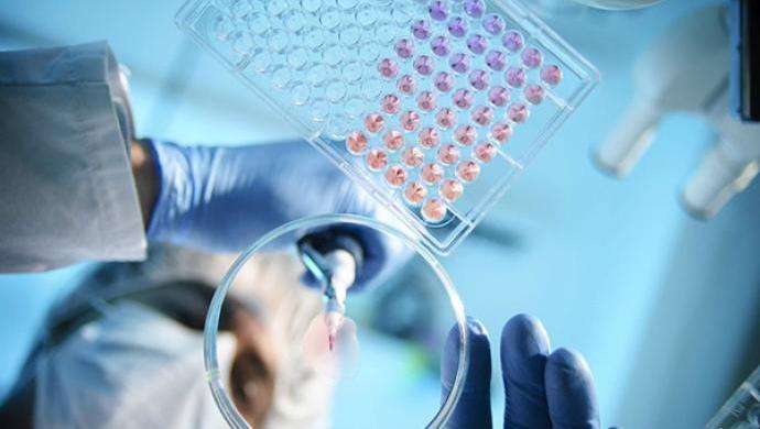 554ggc52c.jpg 554ggc52c.jpg